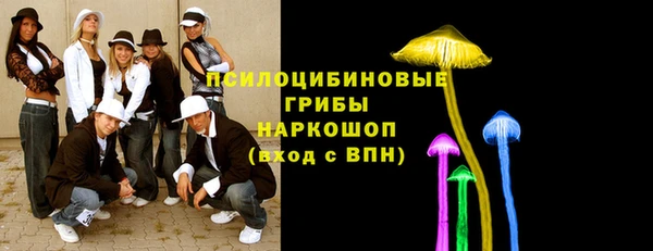 ешки Аркадак