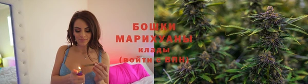 ГАЛЛЮЦИНОГЕННЫЕ ГРИБЫ Переславль-Залесский