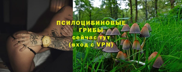 ешки Аркадак